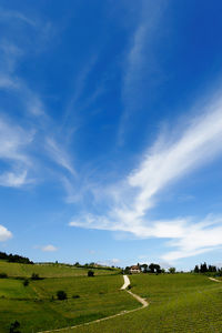 Scenic view of field against blue sky