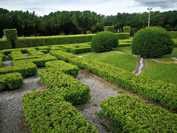 Scenic view of green landscape against sky