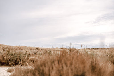 Full length of woman standing on field against sky