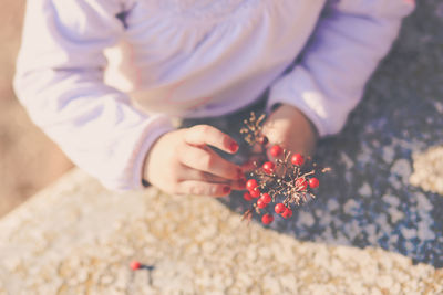 Midsection of girl holding cherries while standing on field