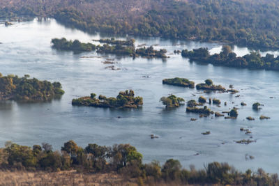 High angle view of sea and trees