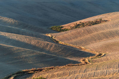 Wavy hills in tuscan farmland