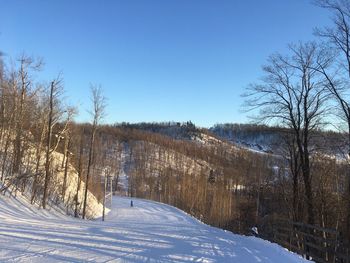 Bare trees on snow covered land against sky