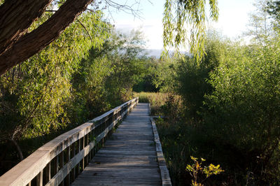 People walking on footbridge