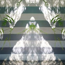 Digital composite image of plants against wall