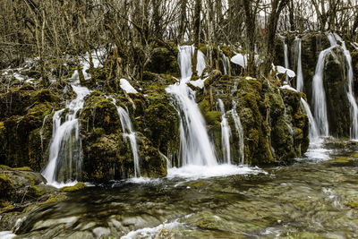 View of waterfall in forest