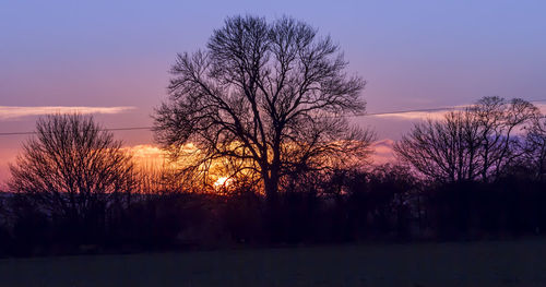 Silhouette of trees on landscape at sunset