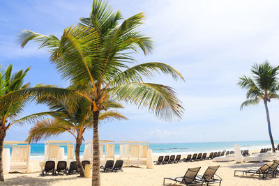 Palm trees on beach against sky