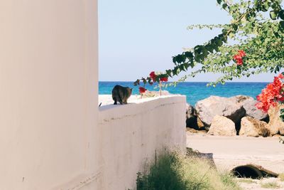 Scenic view of beach against clear sky