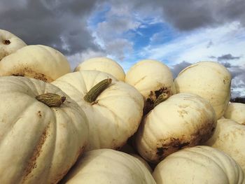 Heap of white pumpkins against sky