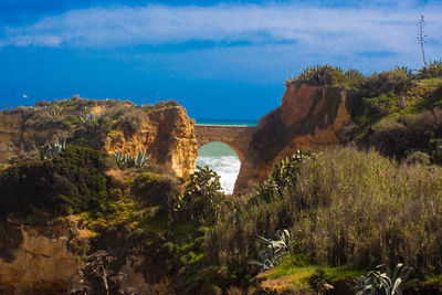 Trees on rock formation against sky