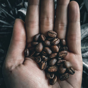 Close-up of hand holding coffee beans