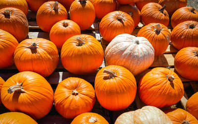 Full frame shot of pumpkins for sale at market