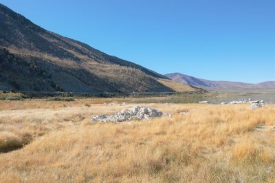 Scenic view of field against clear blue sky