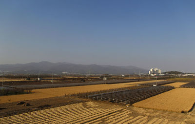 Scenic view of field against clear sky