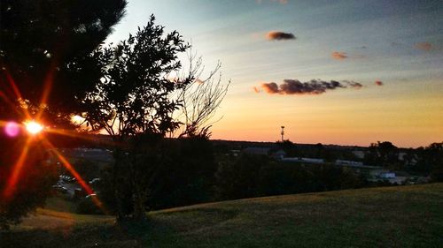 Silhouette tree against sky during sunset