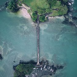 High angle view of sea against trees