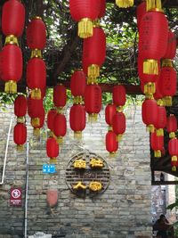 Low angle view of lanterns hanging on tree