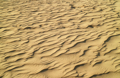 Amazing sand ripples of huacachina sand dune in ica region, peru, south america