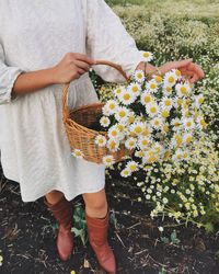 Midsection of woman holding flowers on field