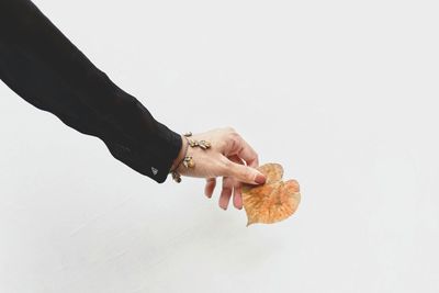 Cropped hand of woman holding leaf over snowy field