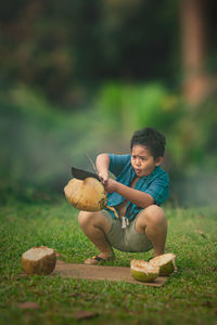 A boy is splitting a coconut