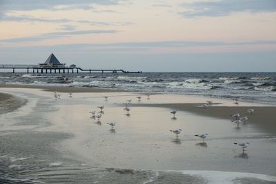 Scenic view of beach and pier against sky during sunset