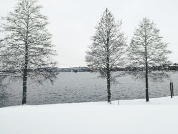 Trees on snow covered landscape against sky