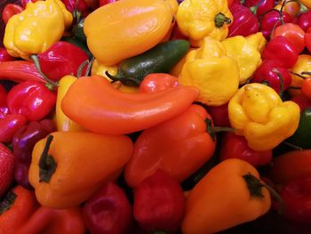 Full frame shot of bell peppers for sale in market