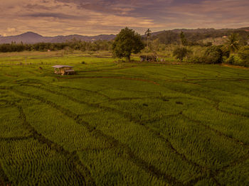 Scenic view of farm field against sky
