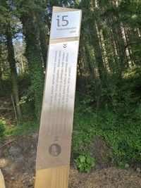 Close-up of sign on tree trunk in forest