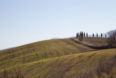 Scenic view of land against clear sky