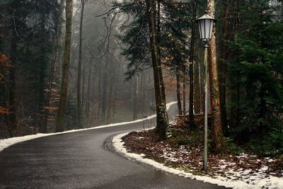 Empty road amidst trees in forest