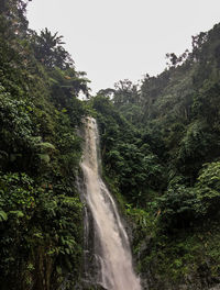 Scenic view of waterfall in forest against sky