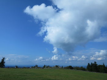 Scenic view of field against sky