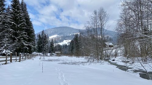 Snow covered land and trees against sky