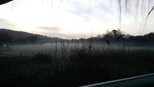 Scenic view of landscape at sunset