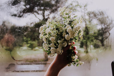 Midsection of person holding flowering plant during rainy season