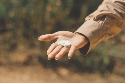 Close-up of hand holding white flower