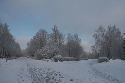 Snow covered field against sky