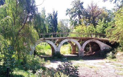 Bridge in forest against sky