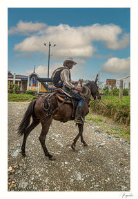 horse