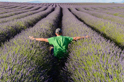 Rear view of man with arms outstretched sitting on lavender field