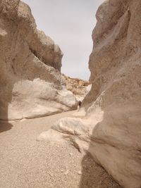 Scenic view of desert