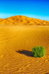 Scenic view of desert against clear sky