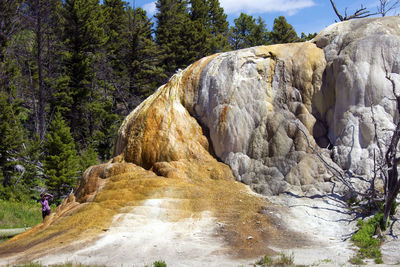Scenic view of rock formation amidst trees
