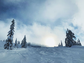 Scenic view of snow covered trees against sky