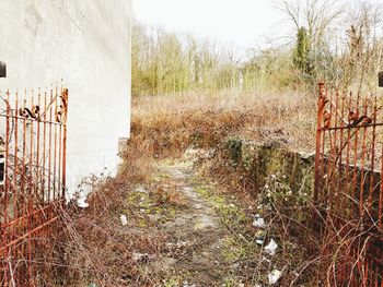 View of gate against sky