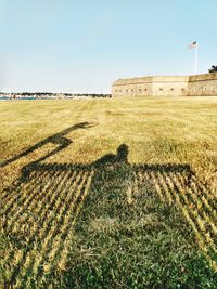 Scenic view of field against clear sky