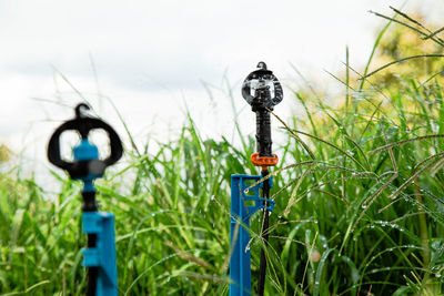 Close up water sprinkler, water sprinkler system working in agricultural farms.
